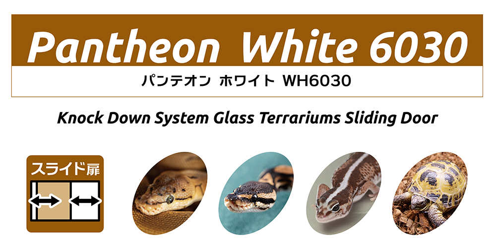 パンテオン ホワイト WH6030 ｜ 株式会社三晃商会