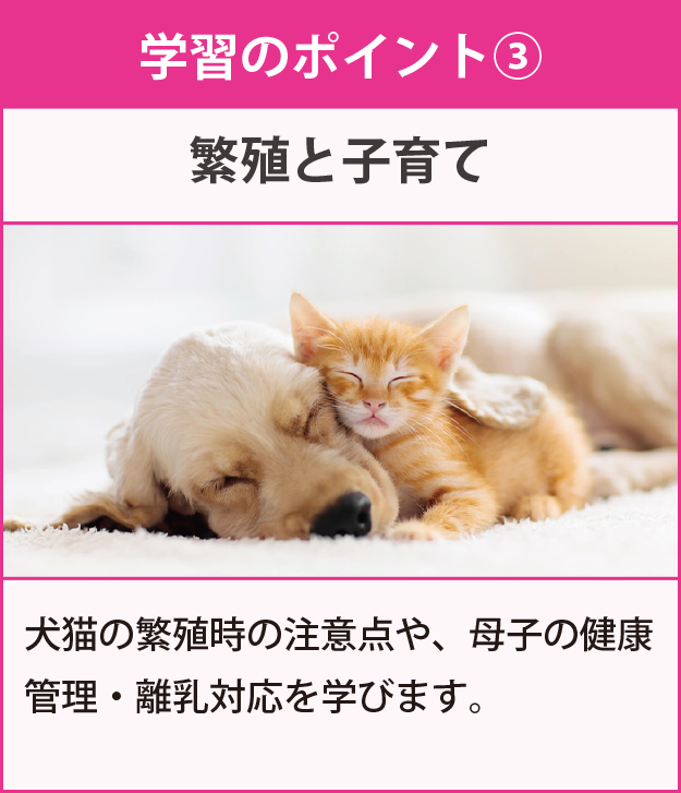 ペットブリーダー資格検定（犬・猫）の通信教育・通信講座 | SARAスクール