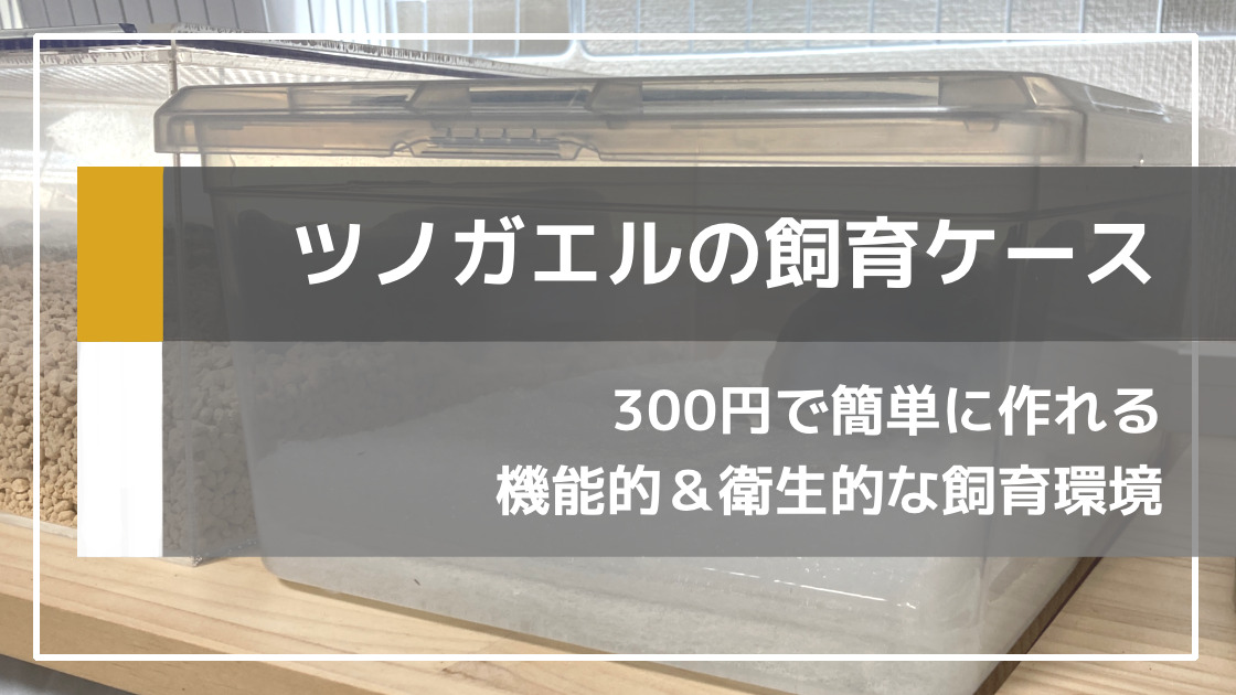 ツノガエル飼育に使えるダイソーのシューズケースの改造方法｜ささき家