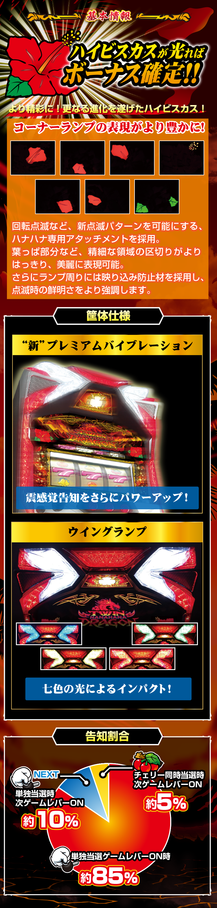 ツインドラゴンハナハナ-30 ｜ 基本情報