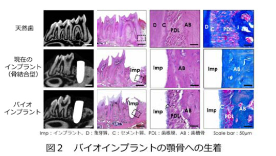 助成の実績 第99回概要 06 / 新技術開発助成 | 公益財団法人 市村清新