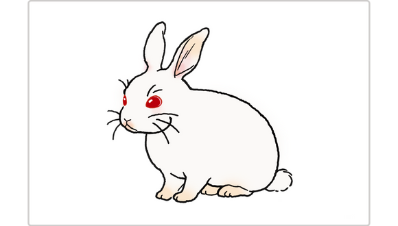 七田式カードフラッシュおためしセット【フラッシュカード】 | 七田式