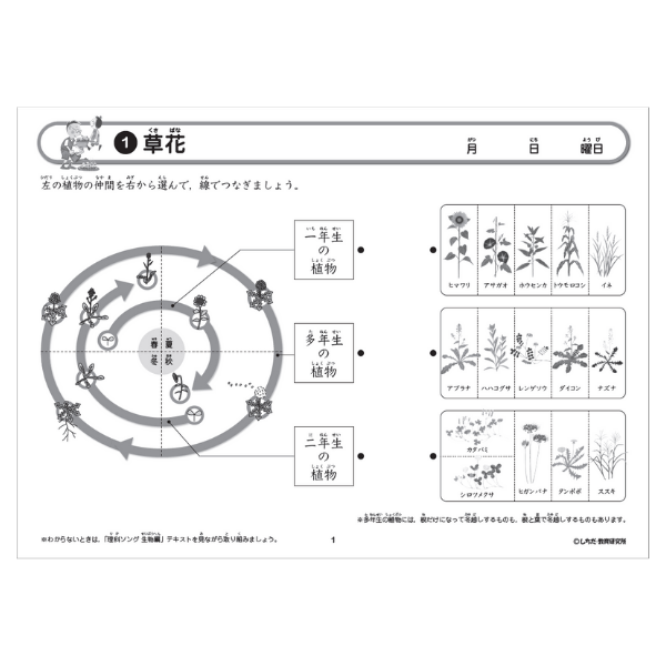 理科ソングプリント生物編【プリント教材】 | 七田式公式通販