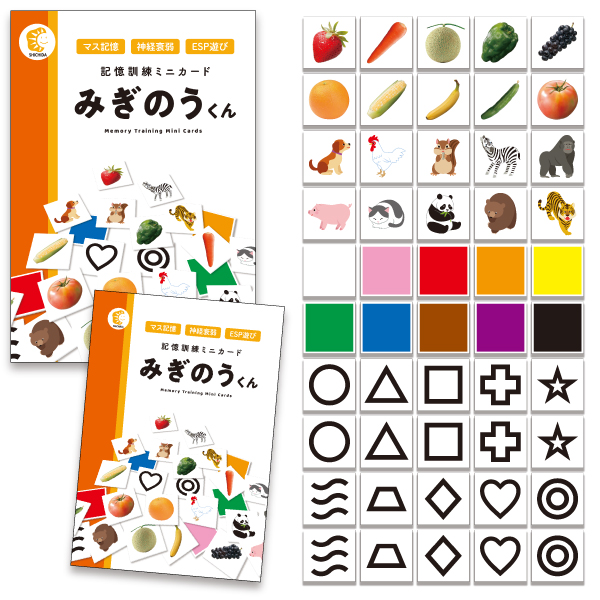 記憶訓練ミニカード みぎのうくん【知育玩具】 | 七田式公式通販