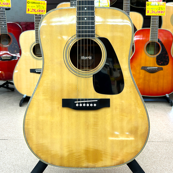 下倉楽器ウェブショップ / Morris / モーリス