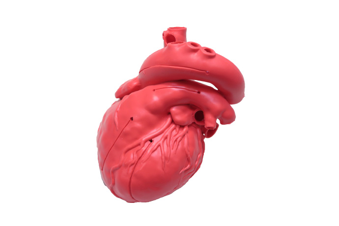 心臓シミュレータ | 株式会社島津理化