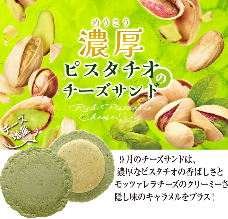 2024年9月限定チーズサンド「濃厚ピスタチオ」 えびとチーズの専門店