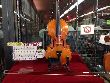 弦楽器】ユーカリが丘店バイオリン品揃えのご紹介｜島村楽器 イオン