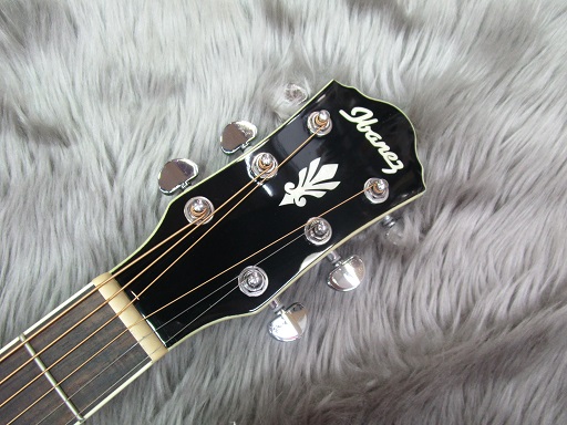 エレアコ】アイバニーズ AEGシリーズ入荷しました｜島村楽器 イオン