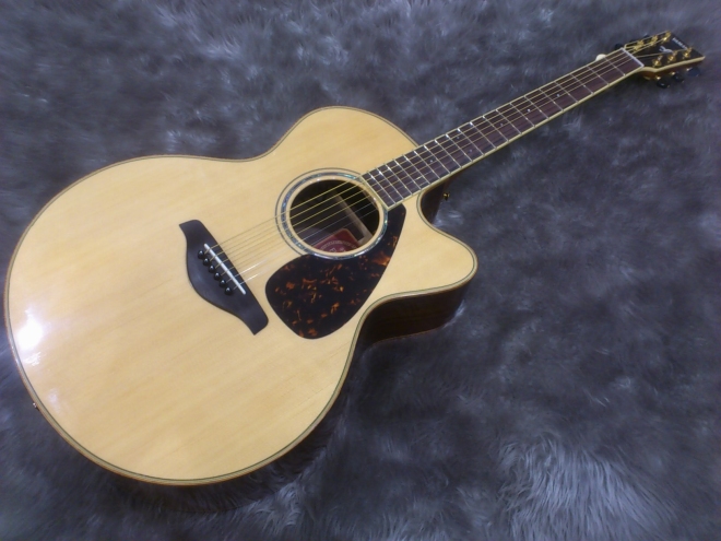 アコギ界の革命児】島村楽器とメーカーが組んだコラボギターご紹介