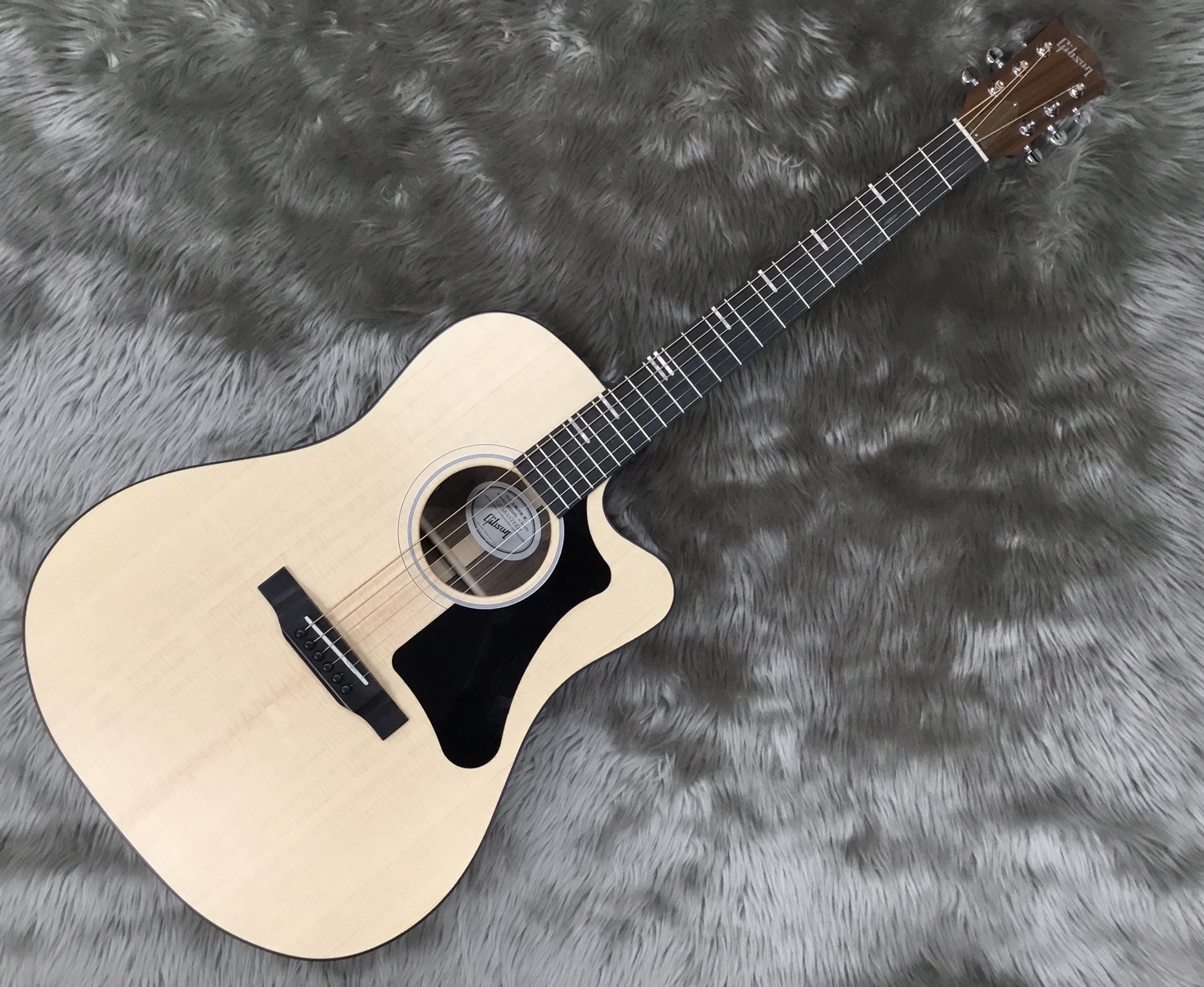 新着商品】Gibson/G-WRITER EC｜島村楽器 千葉店