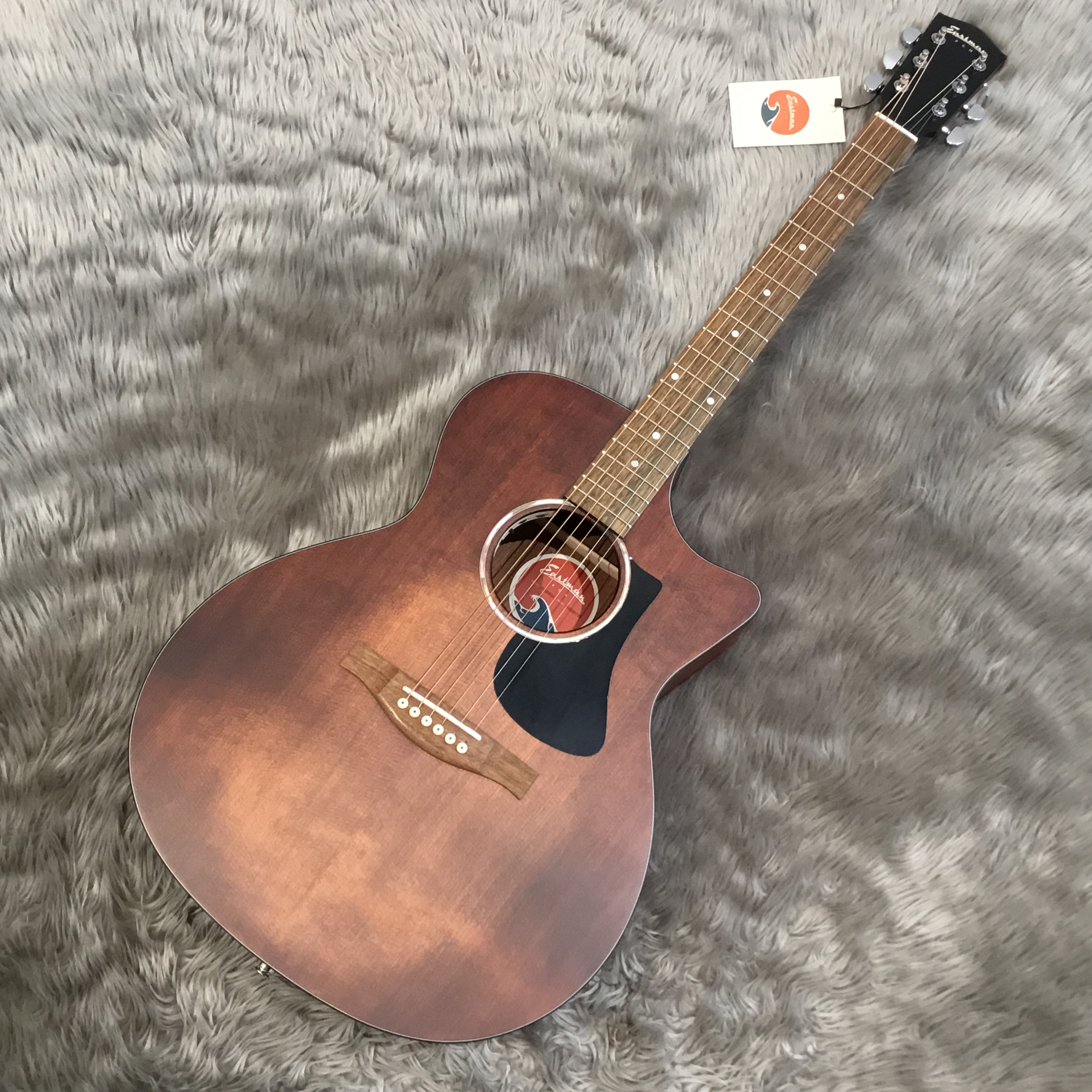 アコースティックギター】Eastmanが入荷！スタッフ一押し！｜島村楽器