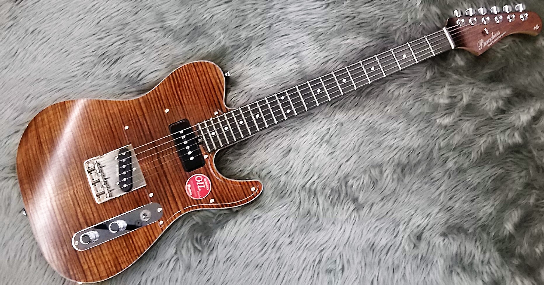 エレキギター】Bacchus TACTICS-FM CUSTOM 入荷！｜島村楽器 金沢