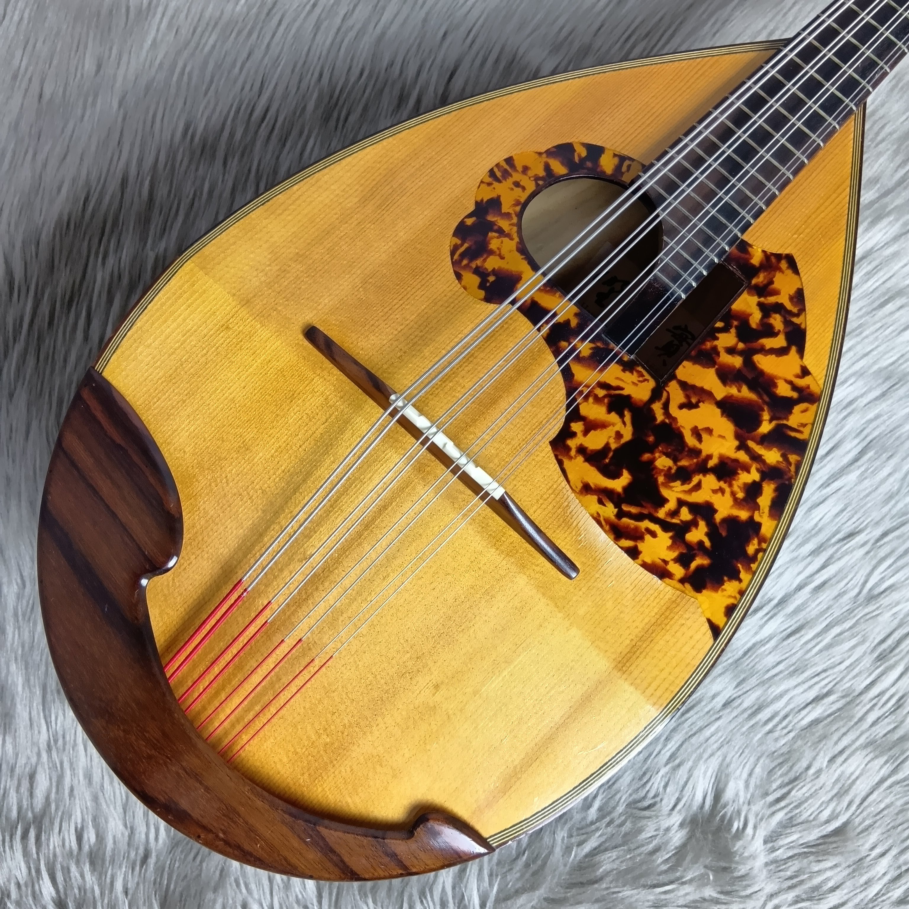 中古マンドリン・ラインナップ一覧｜島村楽器 錦糸町マルイクラシック店