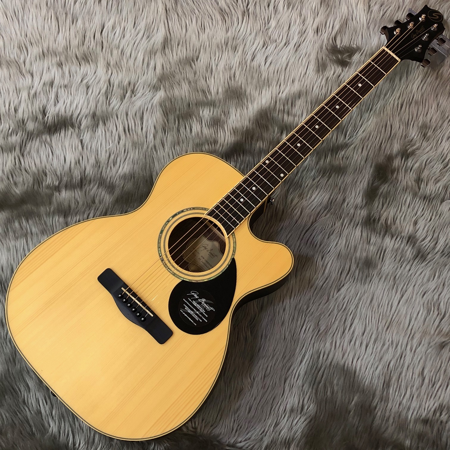 アコースティックギター】グレッグベネットギターズのエレアコ3機種が