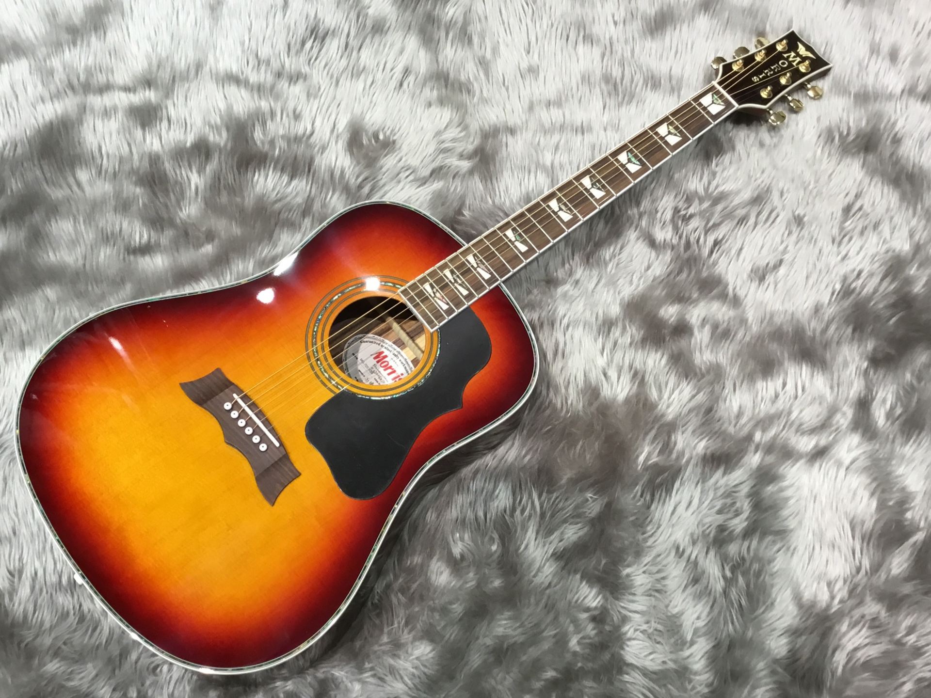 入荷情報】モーリス50周年モデル2機種入荷致しました！！｜島村楽器