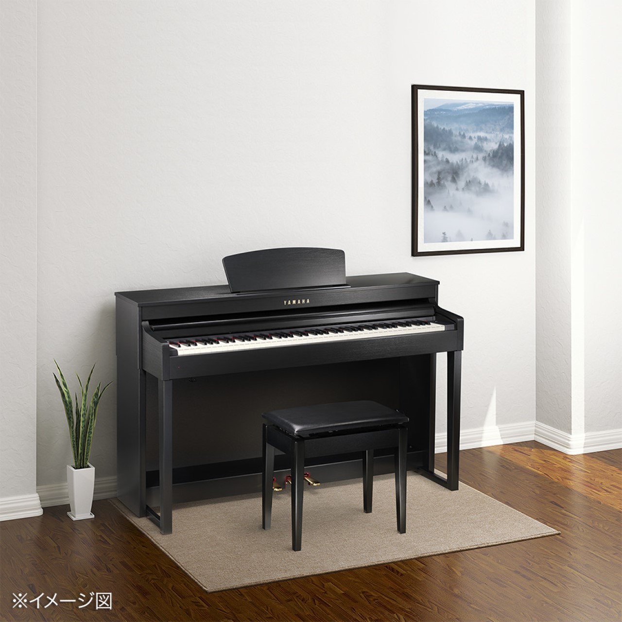 電子ピアノ】防音カーペットって、必要・・・？｜島村楽器 イオン