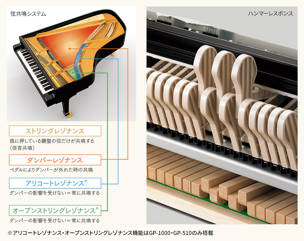 試弾できます！【電子ピアノ】CASIO×C.ベヒシュタイン 島村楽器限定