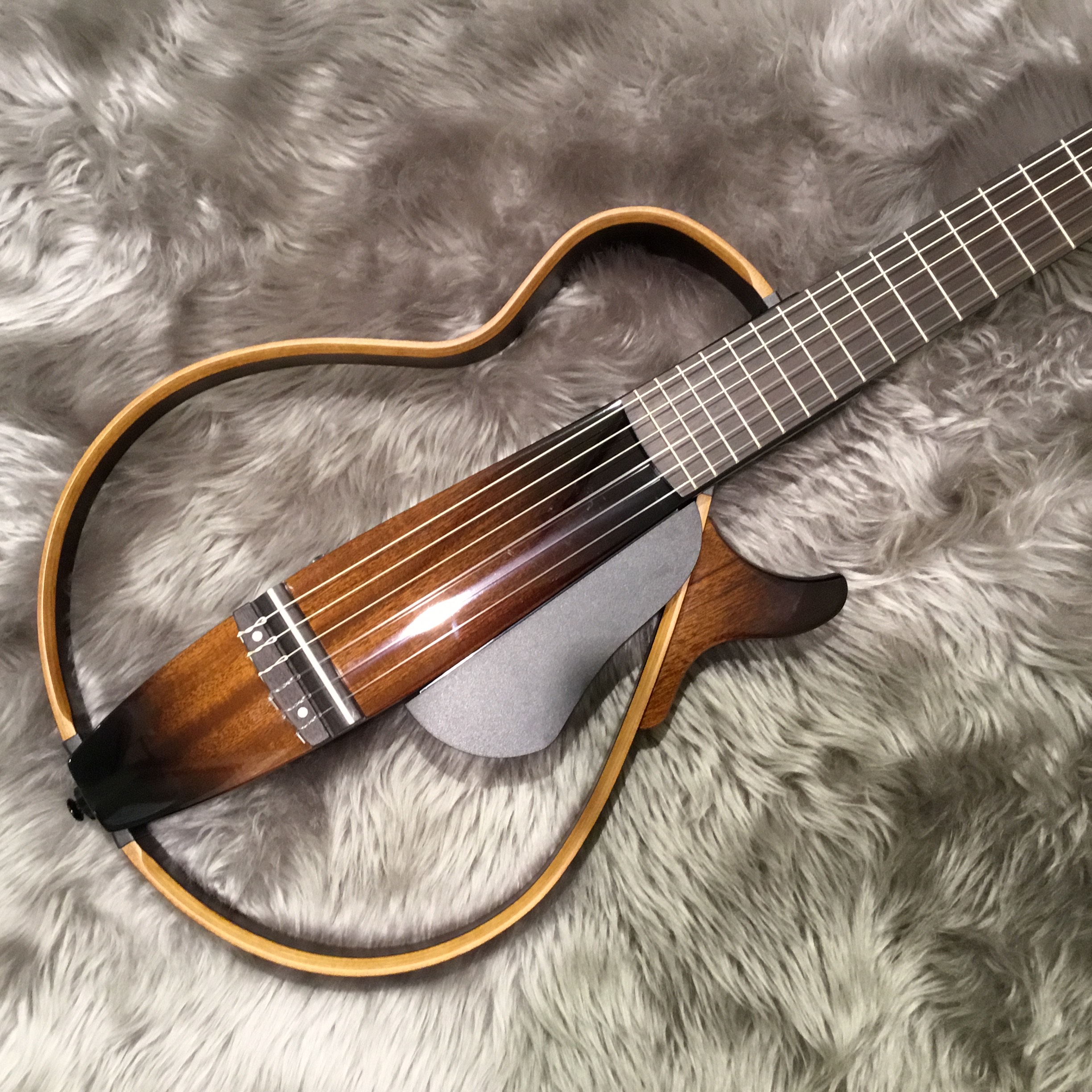 エレガットギター取り揃えております！！｜島村楽器 札幌クラシック店