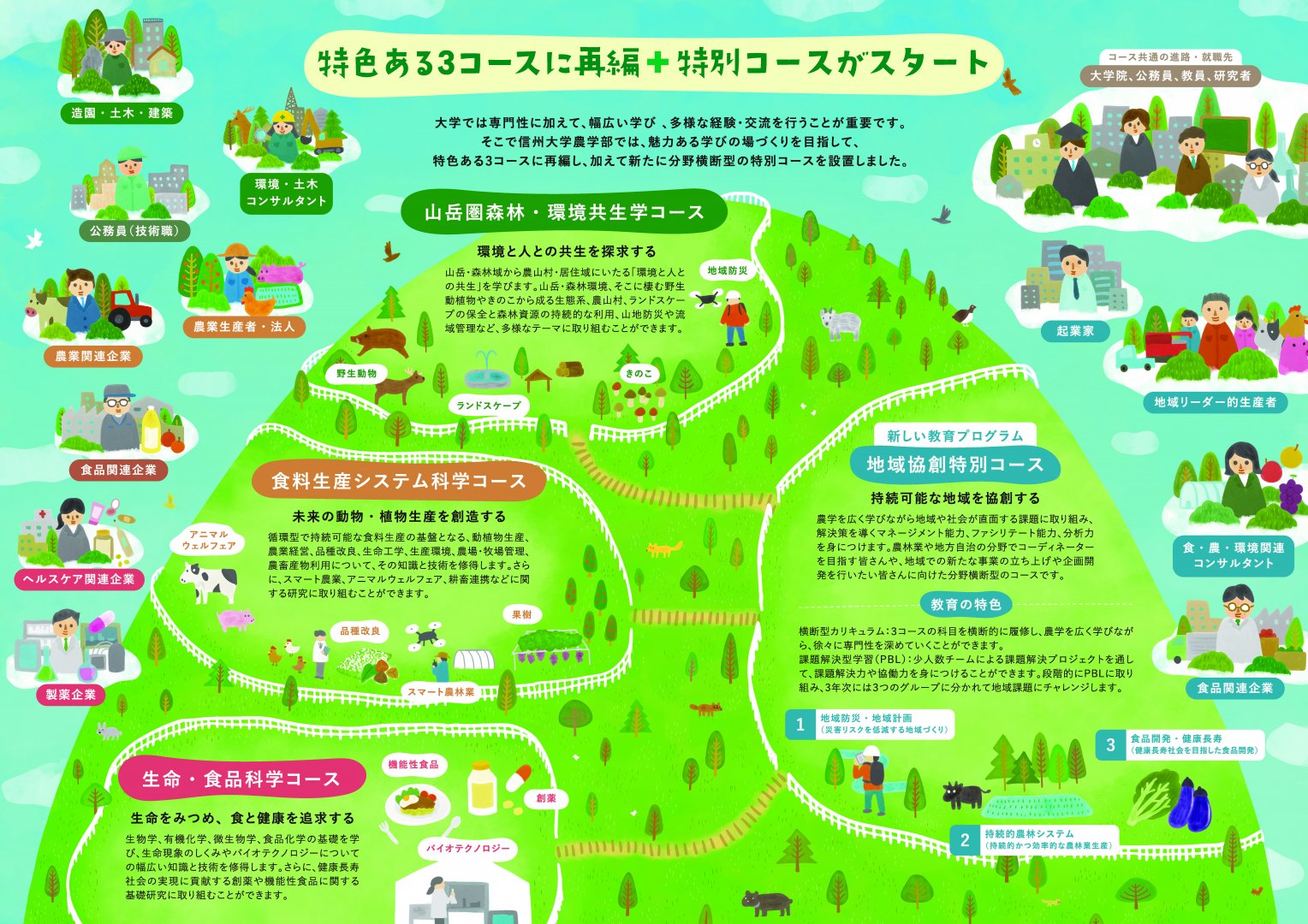 赤本 信州大学 工学部 農学部 理系 前期日程 2013年～2024年 12年分