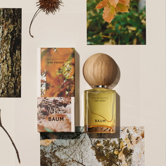 バウム限定オークフォレスト｜キャンペーン｜資生堂オンラインストア