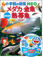 音楽 DVDつき | 書籍 | 小学館