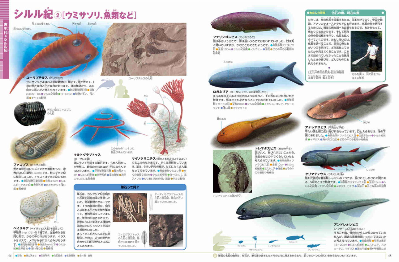 大むかしの生物 | 小学館の図鑑NEOシリーズ | 小学館