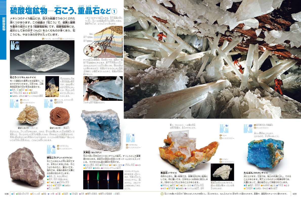 新版］岩石・鉱物・化石 DVDつき | 小学館の図鑑NEOシリーズ | 小学館