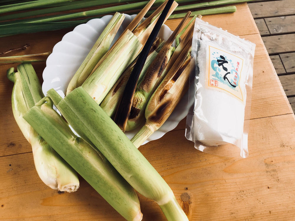 黒穂菌？謎の菌菜「マコモダケ」にせまる！収穫にチャレンジ！ | 食