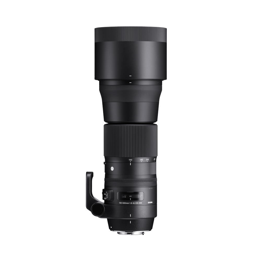 150-600mm F5-6.3 DG OS HSM | C - Sigma