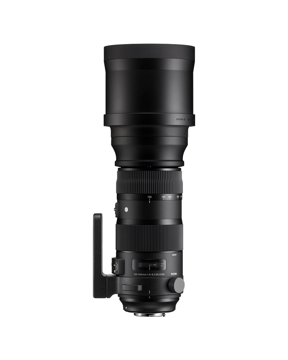 SIGMA 150-600mm F5-6.3 DG OS HSM | Sports | SIGMA Corporation of