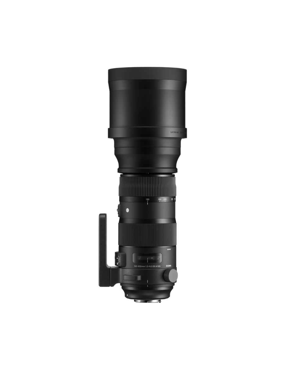 SIGMA 150-600mm F5-6.3 DG OS HSM | Sports | SIGMA Corporation of