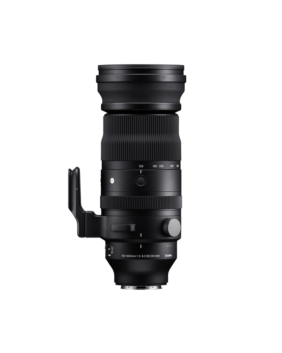 SIGMA 150-600mm F5-6.3 DG DN OS | Sports | SIGMA Corporation of