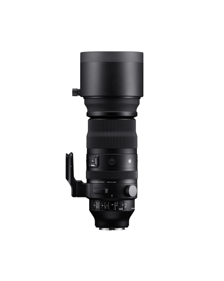 SIGMA 150-600mm F5-6.3 DG DN OS | Sports | SIGMA Corporation of
