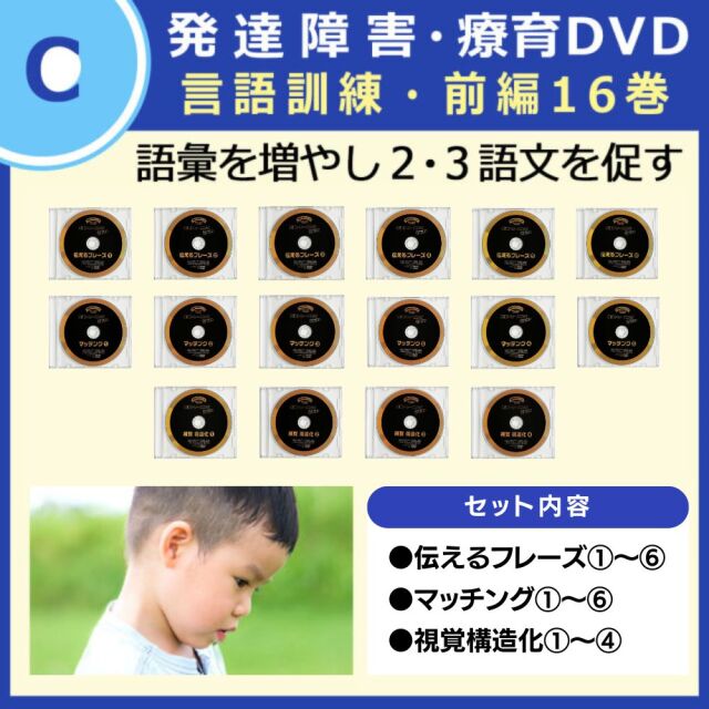 星みつる式 言語訓練｜視覚優位の0歳〜小学生対象｜発達障害・学習
