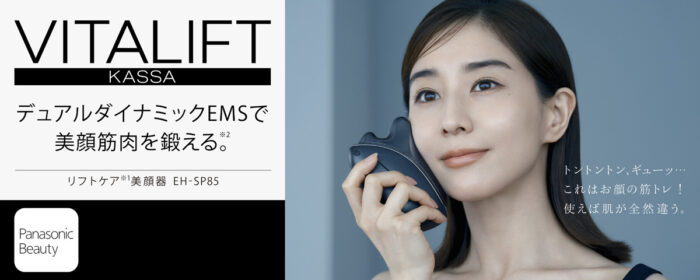 ESTHETWIN B-2000 美顔器 ボディメイク 痩身 ESTHETWIN B-2000 美容器