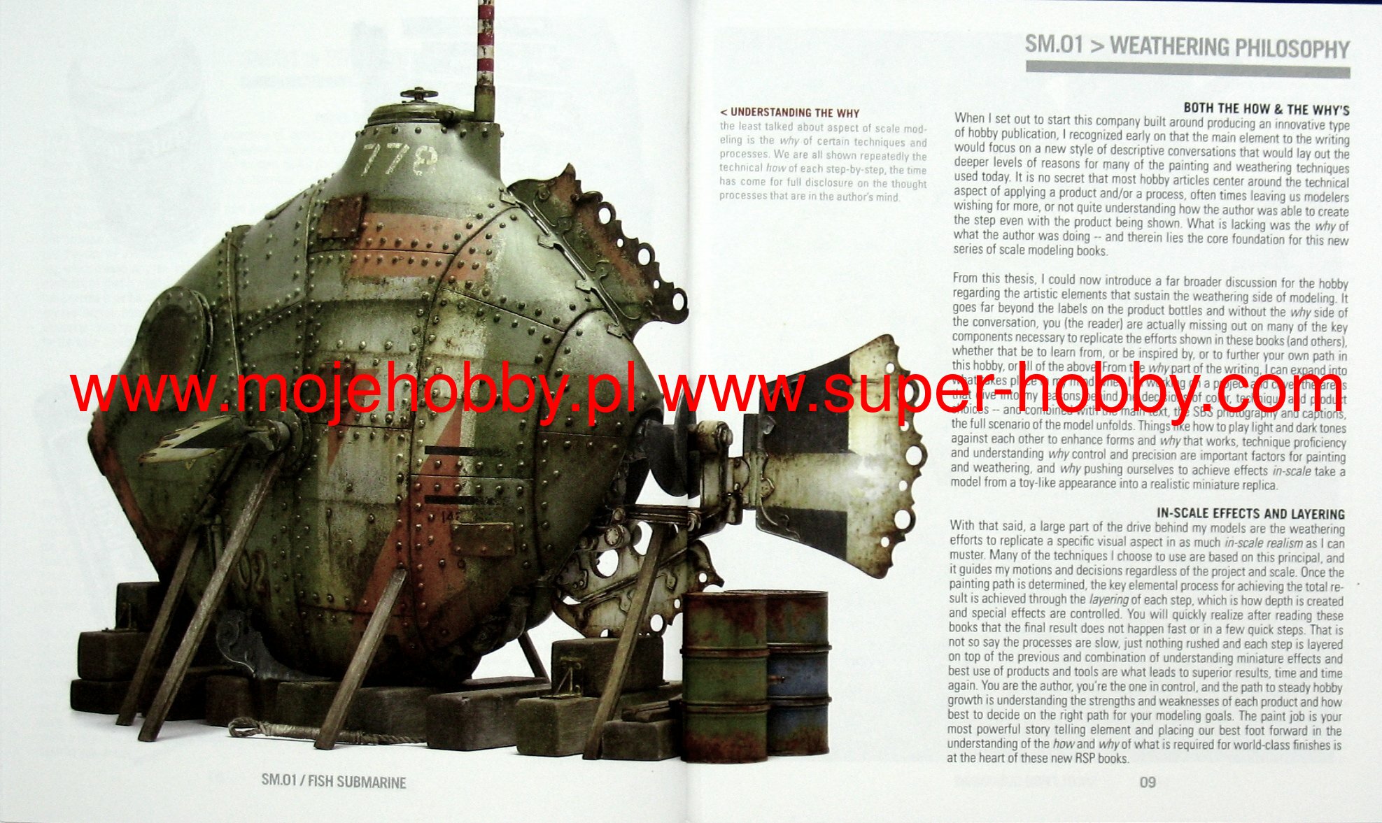 Fish Submarine Single Model 01