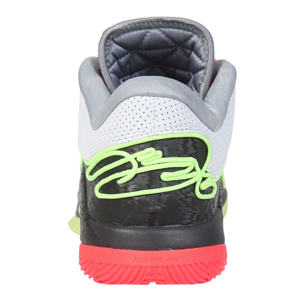 ナイキ（NIKE）（メンズ）バスケットシューズ バッシュ レブロン22