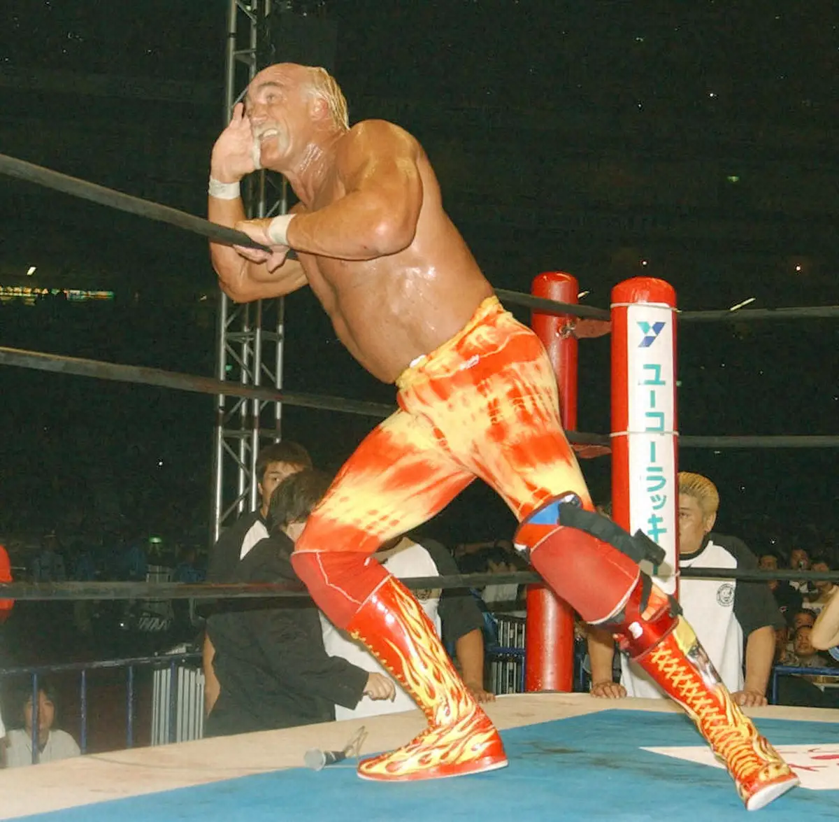 NWO時代のハルク・ホーガンさん（右）。仲間にはランディ・サベージ