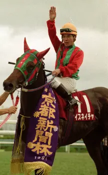 ナイスネイチャ 天国のゴールへ…勝てないからこそ愛された35年、引退馬