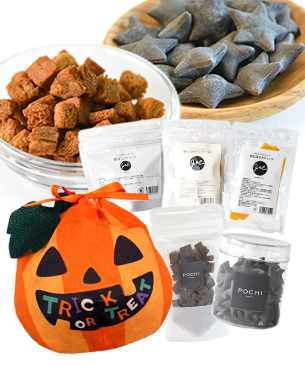 完売》《POCHIのハロウィン2025第3弾》ハロウィンギフトバッグ付き特別