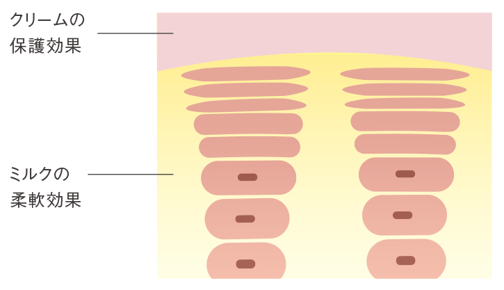 Red B.A マルチコンセントレート(本体 50g): 商品詳細 | ポーラ公式
