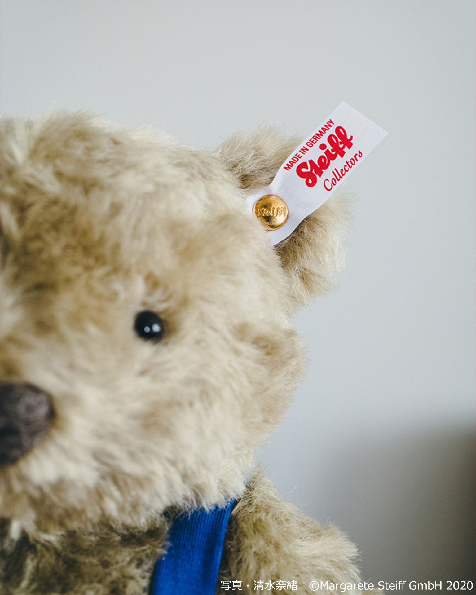 くまの子ウーフ×シュタイフ｜ポプラ社