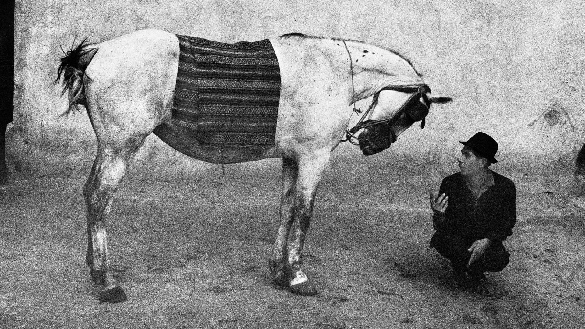 Pera Museum | Josef Koudelka