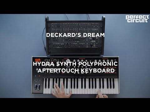 Black Corporation Deckard's Dream Polysynth - Perfect Circuit