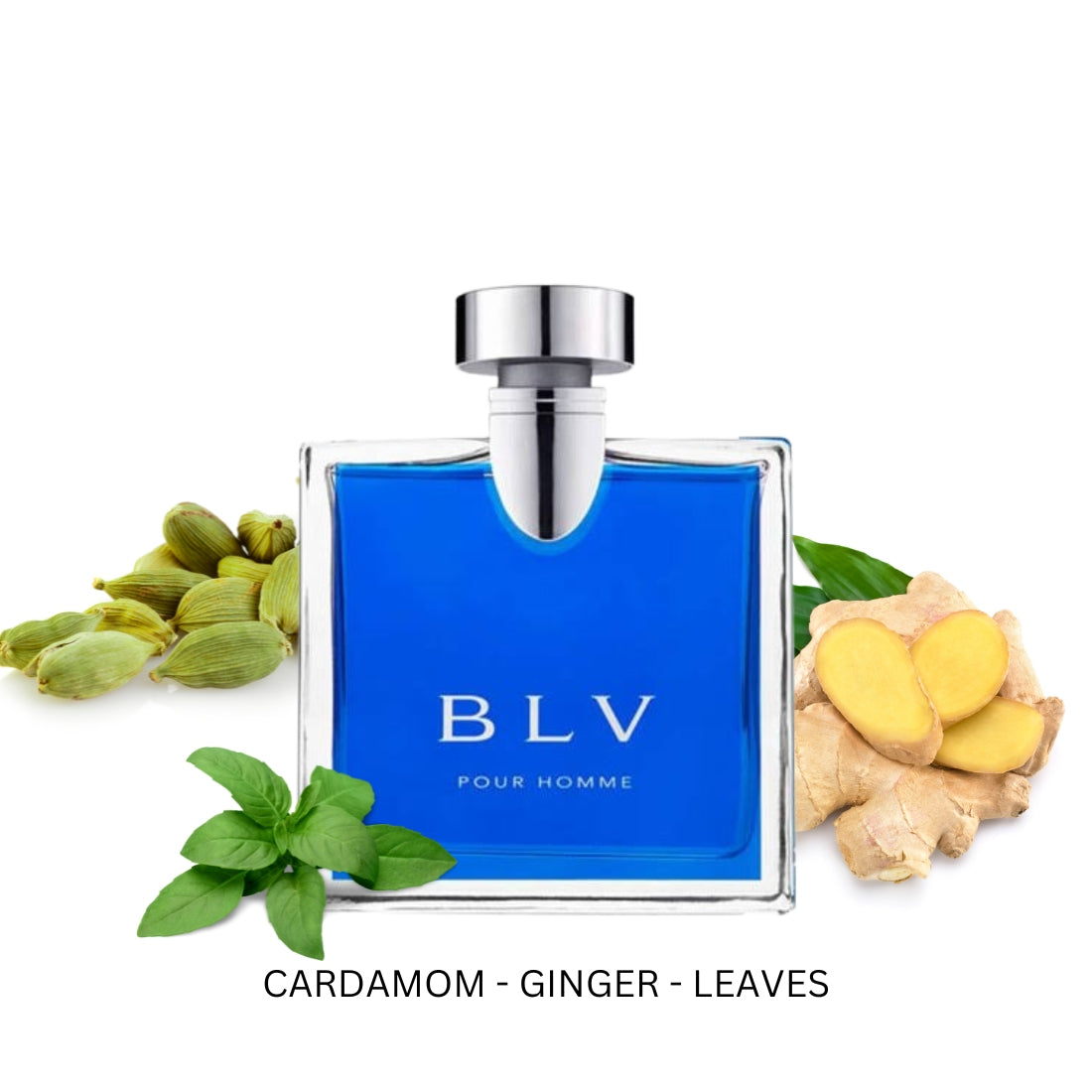 BLV For Men By Bvlgari Eau De Toilette Spray | PerfumePlusOutlet