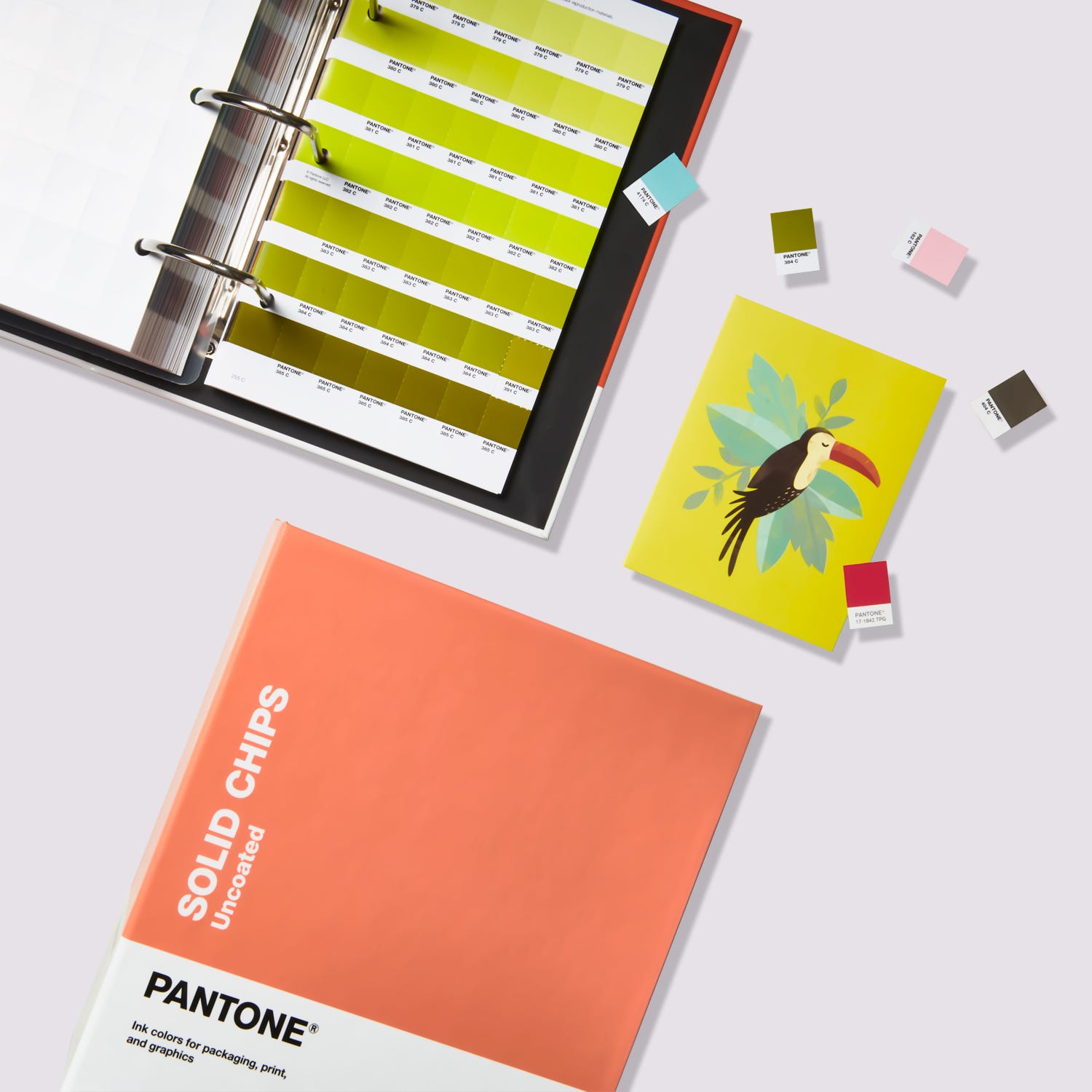 PANTONE® USA | Pantone Solid Chips | Coated & Uncoated