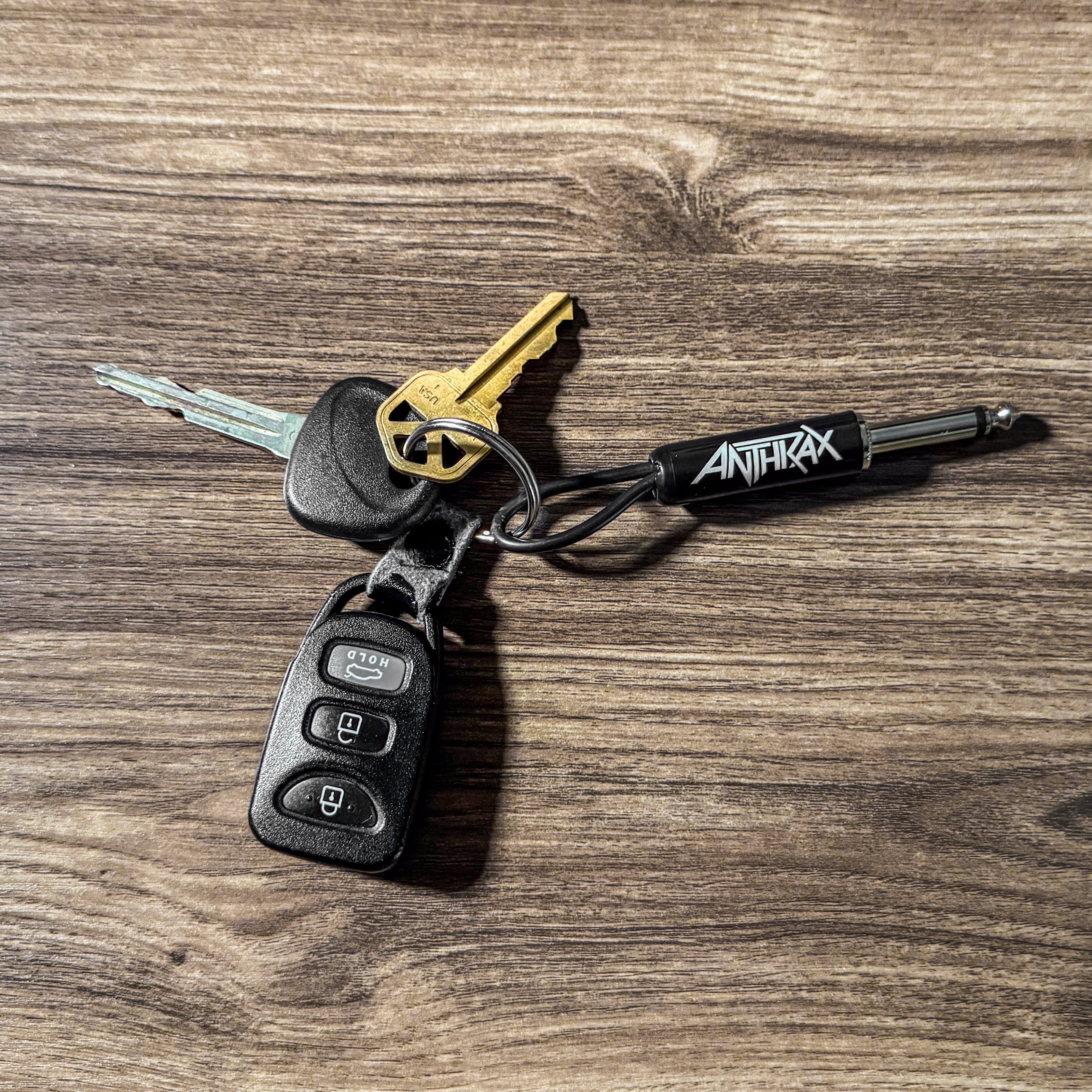 Anthrax Collection – Pluginz Keychains