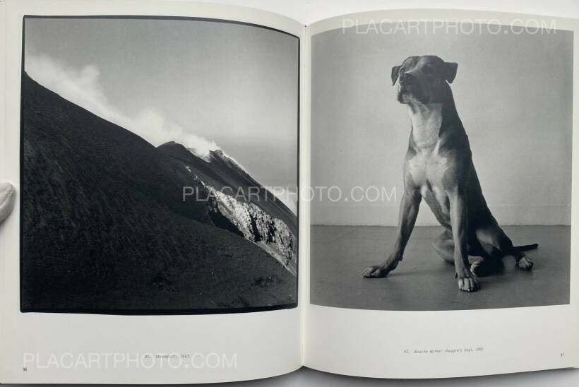 Peter Hujar: Peter Hujar : Speed of Life, Aperture & Fundación