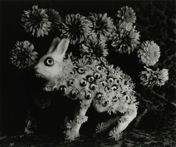 PGI – gallery | Michiko Kon